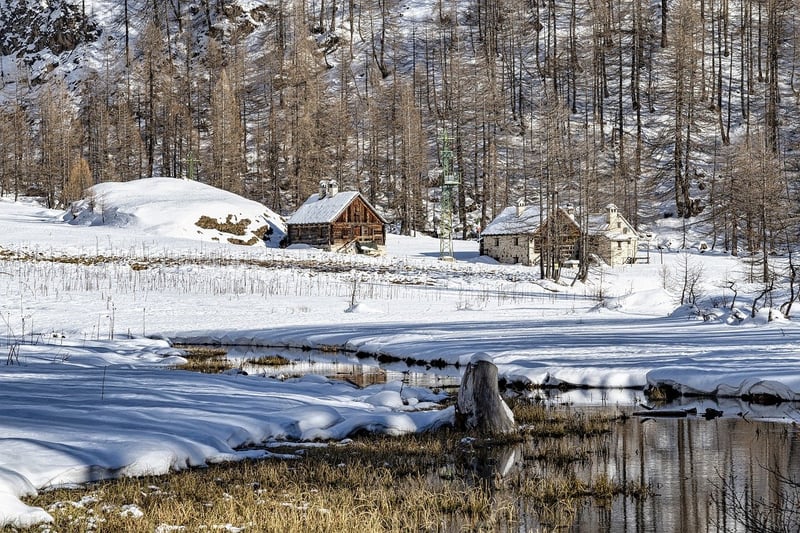 Remote Cabin in the Woods