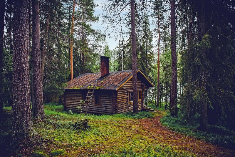 Cozy Remote Cabin