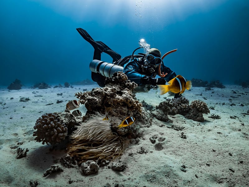 Underwater Camera